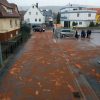 Straenverunreinigung in Eltingen