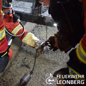 Freiwillige Feuerwehr Leonberg