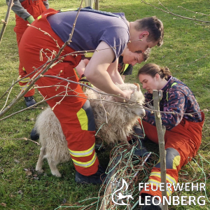Freiwillige Feuerwehr Leonberg