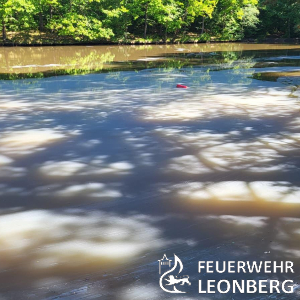 Freiwillige Feuerwehr Leonberg