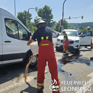 Freiwillige Feuerwehr Leonberg