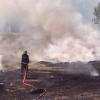 Flchenbrand im Leonberger Stadtpark