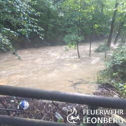 Aufgrund des Unwetters am fr&uuml;hen Sonntagmittag kam es zu mehreren Paralleleins&auml;tzen f&uuml;r die Feuerwehr Leonberg. Mit Wasser vollgelaufene Keller besch&auml;ftigten die Feuerwehrleute bis in den sp&auml;ten Abend. Personensch&auml;den gab es zum Gl&uuml;ck keine. Zwei gro&szlig;e Industriebetriebe waren besonders stark betroffen. Dar&uuml;ber hinaus gab es zwei Eins&auml;tze aufgrund von piepsenden Rauchwarnmeldern in Warmbronn, wobei schnell Entwarnung gegeben werden konnte. 

Zus&auml;tzlich besch&auml;ftigte ein Gefahrguteinsatz die Wehrleute &uuml;ber einige Stunden. Hier waren ca. 500 Liter Gefahrgut in einer Tiefgarage ausgelaufen. Hinzu kam noch ein Baum, der aufgrund des starken Windes auf eine Fahrbahn gest&uuml;rzt ist und bei einem Geb&auml;ude mussten herabfallende Dachziegel gesichert werden. 

Zeitweise wurden bis zu zehn Eins&auml;tze parallel abgearbeitet, informierte Einsatzleiter Marcus Kucher. Die Abteilung Leonberg, Gebersheim, H&ouml;fingen und Warmbronn waren bei den Eins&auml;tzen mit ca. 80 Einsatzkr&auml;ften und 17 Fahrzeugen eingebunden. 

Insgesamt sind an diesem Sonntag 57 Eins&auml;tze bei der Feuerwehr Leonberg eingegangen. Das THW Leonberg unterst&uuml;tzte mit zwei Fahrzeugen und 12 Mann und die Feuerwehr Rutesheim unterst&uuml;tzte mit 14 Einsatzkr&auml;ften und drei Fahrzeugen. 