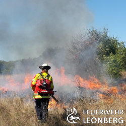 Wie auch schon im vergangenen Jahr fand auch in diesem Jahr ein einw&ouml;chiger Austausch vom 29.08.-03.09.2016 mit der  Partnerfeuerwehr im kroatischen Rovinj statt. In den fr&uuml;hen Morgenstunden machten sich 4 Kameraden und 2 Kameradinnen auf die rund 860km lange Reise nach Istrien, um dort eine Woche das Vorgehen bei Wald- und Fl&auml;chenbr&auml;nden sowie die &ouml;rtlichen feuerwehrtechnischen Gegebenheiten zu erleben.   

Montag: 
Nach rund 10h Fahrt erreichten wir gegen Mittag die Feuerwache der Berufsfeuerwehr Rovinj. Nach einer herzlichen Begr&uuml;&szlig;ung und der &Uuml;berreichung der Gastgeschenke (Maultaschen) fuhren wir gemeinsam mit den Kameraden aus Subotica (Serbien) und der F&uuml;hrung zum gemeinsamen Mittagessen mit landestypischen Spezialit&auml;ten nach Bale. Im Anschluss bezogen wir unsere Unterkunft in der Villas Rubin. Den Abend lie&szlig;en wir nach einem erfrischenden Bad im Meer bei einem kleinen Stadtbummel in Rovinj ausklingen. 

Dienstag:
Gestartet wurde am Dienstag mit einem Vortrag &uuml;ber die Organisation der Feuerwehr in der Republik Kroatien und einer kurzen theoretischen Einweisung in das Vorgehen bei der Bek&auml;mpfung von Waldbr&auml;nden in der Feuerwache Rovinj. Nach einer kleinen Fahrzeugkunde fuhren wir gemeinsam in die Abteilung Zminj. Dort besichtigten wir das Ger&auml;tehaus der Freiwilligen Feuerwehr, erhielten eine kurze Stadtf&uuml;hrung mit Besuch des &ouml;rtlichen Kunstmuseums, a&szlig;en gemeinsam zu Mittag und besichtigten die H&ouml;hle Festinsko kraljevstvo (K&ouml;nigreich von Festini) in Festini. Nach einem gem&uuml;tlichen Abschlusstrunk lie&szlig;en wir den zweiten Tag nach einem Bad im Meer bei einem gem&uuml;tlichen Vesper am Bungalow ausklingen.

Mittwoch: 
Nach einer erneuten Fahrzeugkunde im der Feuerwache Rovinj fuhren wir heute in die Abteilung Kanafanar. Dort f&uuml;hrte uns der B&uuml;rgermeister stolz durch sein kleines Dorf, besichtigte mit uns eine Kirche in dem die Kopie des Turiner Grabtuches h&auml;ngt und zeigte uns das Ger&auml;tehaus. Im Anschluss fuhren wir in die Stadtruine Dvigrad und besichtigten diese mit einem Fremdenf&uuml;hrer. Um eine kleine Abk&uuml;hlung von der kroatischen Sonne zu erhalten stand als n&auml;chstes eine einst&uuml;ndige Schifffahrt auf dem Limski Fjord auf dem Programm. Zum Mittagessen gab es landestypisch fangfrischen Fisch und andere Meeresfr&uuml;chte. Nach einer herzlichen Verabschiedung in Kanfanar badeten wir auch heute im Meer, bevor wir den Abend bei einem Abendessen im Rovinjer Hafen mit anschlie&szlig;endem Shoppingbummel ausklingen lie&szlig;en. 

Donnerstag: 
Heute stand die Stadtgeschichte Rovinjs auf dem Programm und so erhielten wir am Vormittag eine Stadtf&uuml;hrung durch die Altstadt Rovinjs. Gegen Mittag fuhren wir dann in die Abteilung Bale wo wir nach der Besichtigung des Ger&auml;tehauses eine kleine Stadtf&uuml;hrung erhielten bei der wir unter anderem eine Kirche, das Dinosaurier- und Vogelmuseum und ein altes Schloss besichtigten. Zum Mittagessen fuhren wir auf den ortsans&auml;ssigen Campingplatz um auch dort landestypische Spezialit&auml;ten zu essen. Gerade fertig mit essen brach auch schon die Hektik aus, denn es war Alarm! Im rund 30km entfernten Zminj war ein Waldbrand ausgebrochen, und wir fuhren nat&uuml;rlich mit, um unsere Kameraden zu unterst&uuml;tzen. Nach Ankunft an der Einsatzstelle hatten die Kameraden der Gesamtfeuerwehr bereits das Feuer fast komplett gel&ouml;scht, somit konnten wir in Ruhe uns die Vorgehensweise erkl&auml;ren lassen und die rund 19.800m&sup2; gro&szlig;e Brandfl&auml;che anschauen. Nach dem Einr&uuml;cken der Einsatzkr&auml;fte erfrischten wir uns noch gemeinsam mit k&uuml;hlen Getr&auml;nken und fuhren dann zur&uuml;ck in unsere Unterkunft.

Freitag:
Heute stand alles im Zeichen des Feuers. Gleich am Morgen fuhren wir nach Bale um dort einen &Uuml;bungswaldbrand selbst zu l&ouml;schen.  Anschlie&szlig;end fuhren wir in einen Steinbruch um dort der Suchhundestaffel beim Training zuzuschauen. Zum Mittag besichtigten wir das Ger&auml;tehaus in Rovinjsko Selo, fuhren zu einem Aussichtspunkt und a&szlig;en sp&auml;ter gemeinsam mit den Kameraden zu Mittag. Am Abend trafen sich alle Abteilungen in Rovinj um das Haus der Batana (erstes einem Schiff gewidmete &Ouml;komuseum) zu besichtigen. Zum Ausklang wurden wir mit einem Ruderboot um Rovinj gefahren, um in einer kleinen urigen Wirtschaft bei istrischen Spezialit&auml;ten den letzten Abend gemeinsam zu feiern. 

Samstag: 
So schnell ist eine Woche Austausch auch vorbei. Wir verabschiedeten uns von allen Kameraden, tauschten die Kontaktdaten aus, &uuml;bergaben die restlichen Gastgeschenke (Kuckucksuhr) und machten uns auf die rund 12 st&uuml;ndige Heimfahrt. 

Die Erfahrungen und Eindr&uuml;cke, welche wir in dieser Woche erhielten wird uns so schnell niemand nehmen, daher m&ouml;chten wir uns nochmals ganz herzlich bei unseren Kameraden f&uuml;r die Gastfreundschaft bedanken und freuen uns auf das Wiedersehen Ende Oktober. 
Bis zum n&auml;chsten Mal!
 

