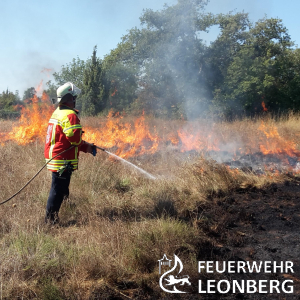 Freiwillige Feuerwehr Leonberg