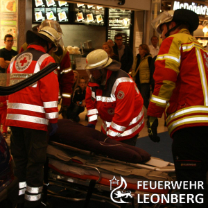 Freiwillige Feuerwehr Leonberg