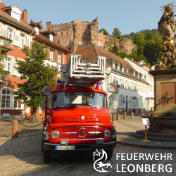 Bild: 1 - Landesfeuerwehrtag in Heidelberg