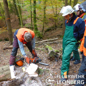 Freiwillige Feuerwehr Leonberg