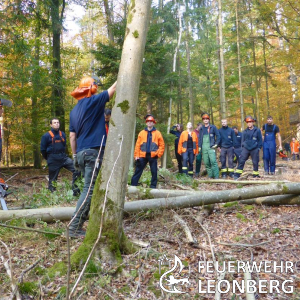 Freiwillige Feuerwehr Leonberg