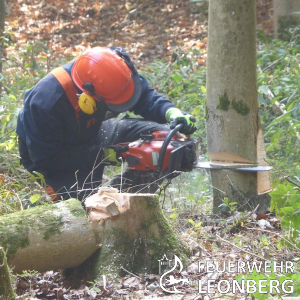 Freiwillige Feuerwehr Leonberg