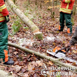 Freiwillige Feuerwehr Leonberg