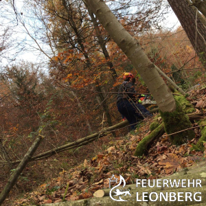 Freiwillige Feuerwehr Leonberg